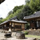 담 오마이뉴스