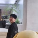 뒹굴뒹굴고양이 이미지