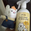 브릿지페어