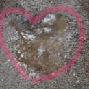 구룡령황토펜션 이미지