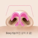 뭉툭 | 복코수술 후기 뭉툭한 코끝 변화 사례