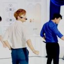 이츠펫 두정점 네이버블로그