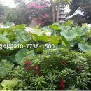 함평경회루