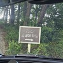 스테이캄드 이미지