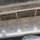 클린예스 이미지