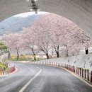 명희네집