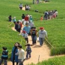 청보농장 이미지