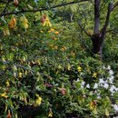 비룡민박 이미지