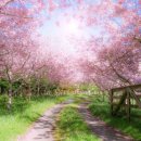 미송농장 이미지