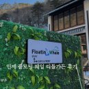 인제 플로팅 웨일 리틀가든 내돈내산 숙박 후기 / 치명적인 단점도 함께