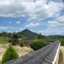 두손모아 반딧불이 이미지