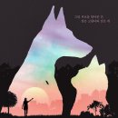 개와고양이 이미지