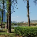 봄날치과기공소 이미지