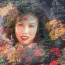 청포돗대