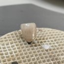 장치과기공소 이미지