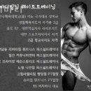 비치바디 이미지