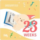 🤰w23. 폭풍태동
