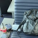 허벌라개 | 2025년 8월, 무이네 호찌민_베트남