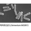 (주)메디오젠 이미지