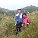 화왕산약국 Daum카페