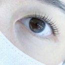 더썸뷰티 이미지