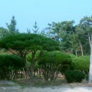 나성농장 이미지