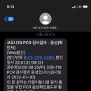 냉갱이 이미지