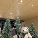 설화국가족호텔(주) | 강릉 가족여행 신라모노그램 강릉 호텔 벙커룸 오션뷰 내돈내산 후기