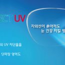 블루라이츠