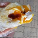 명지근린공원 유아숲체험원 이미지