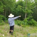 자연6 태양광발전소 이미지