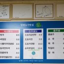 콩리 이미지