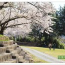 화원동산 전망대 이미지