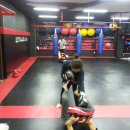 송탄종합격투기 멀티짐 이미지