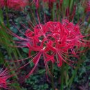 케겔운동과 전립선 비대증 이미지