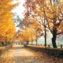 유산목장 이미지