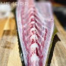 바다마차 이미지