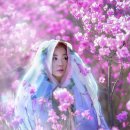 동산-2 이미지