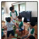 봉암초등학교(병설) 이미지