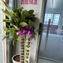 바비리듬체조학원 네이버블로그