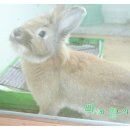 청아농장 이미지