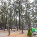 장항오토캠핑장 이미지