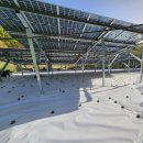 예천케이솔라태양광발전소 | 상주_문경_김천_영양_예천_안동_봉화_구미_의성_솔라플러스_시공_후기 #태양광_양면모듈_흰색_화이트...