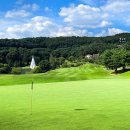 대해코리아 이미지