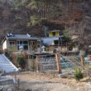 김준농장 이미지