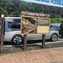 신리역 공원 이미지