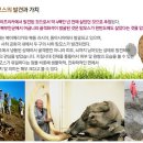 맘모스 이미지