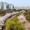 상대원 시설녹지 이미지