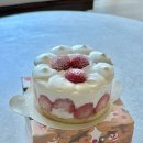 스타벅스 다대포DT점 | 스타벅스 신상 딸기 프레지에 케이크 내돈내산 후기