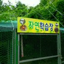 인삼랜드휴게소 이미지